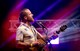 Steve Bartram - Musician