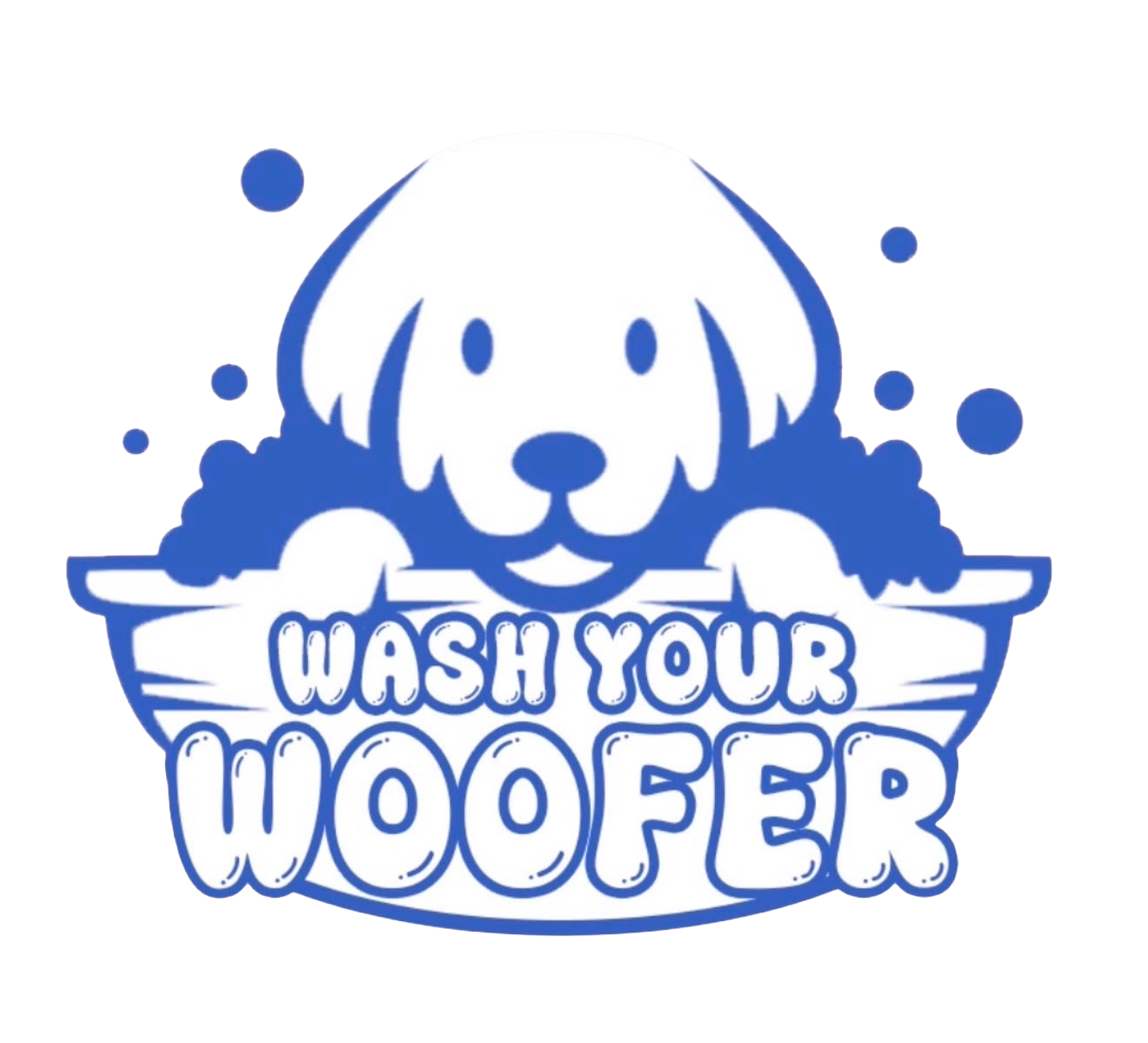 Wash Your Woofer